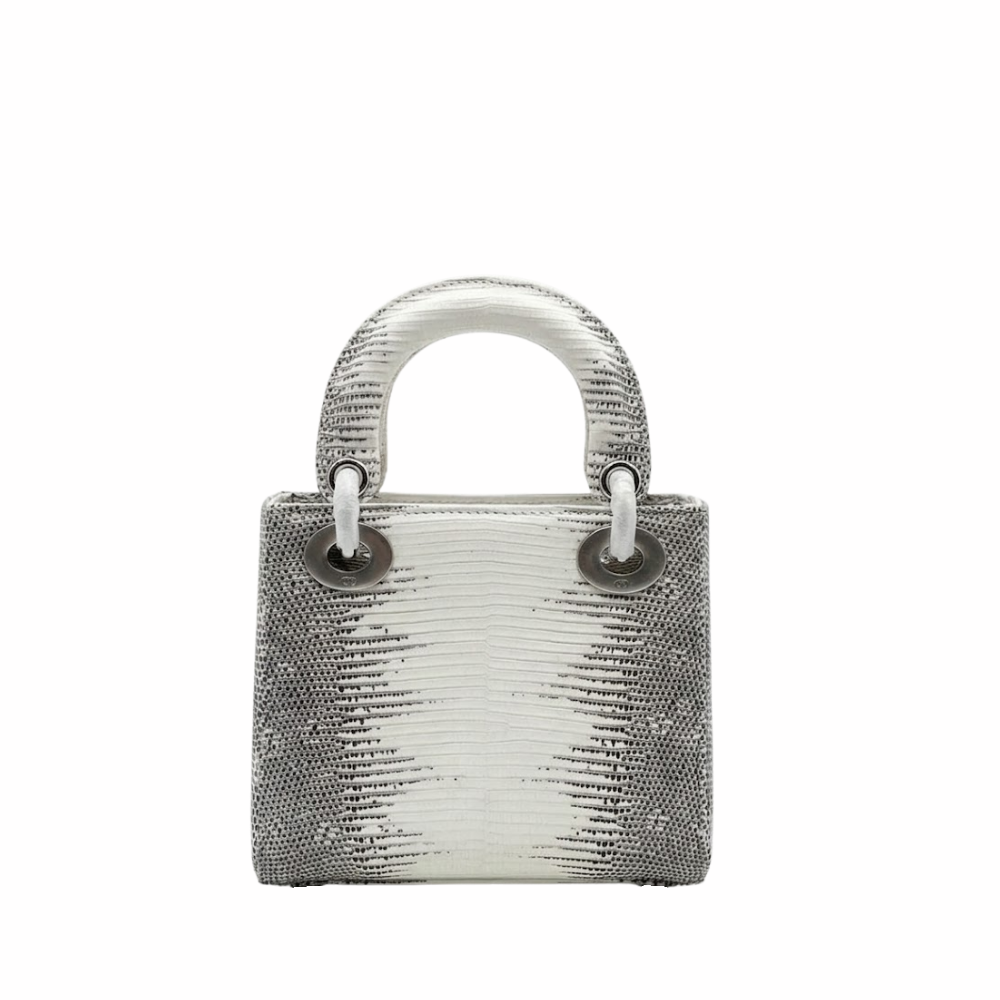 dior-ombre-himalayan-lizard-small Handle