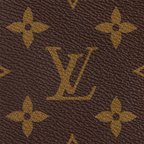 lv-palm-springs-mini ohter