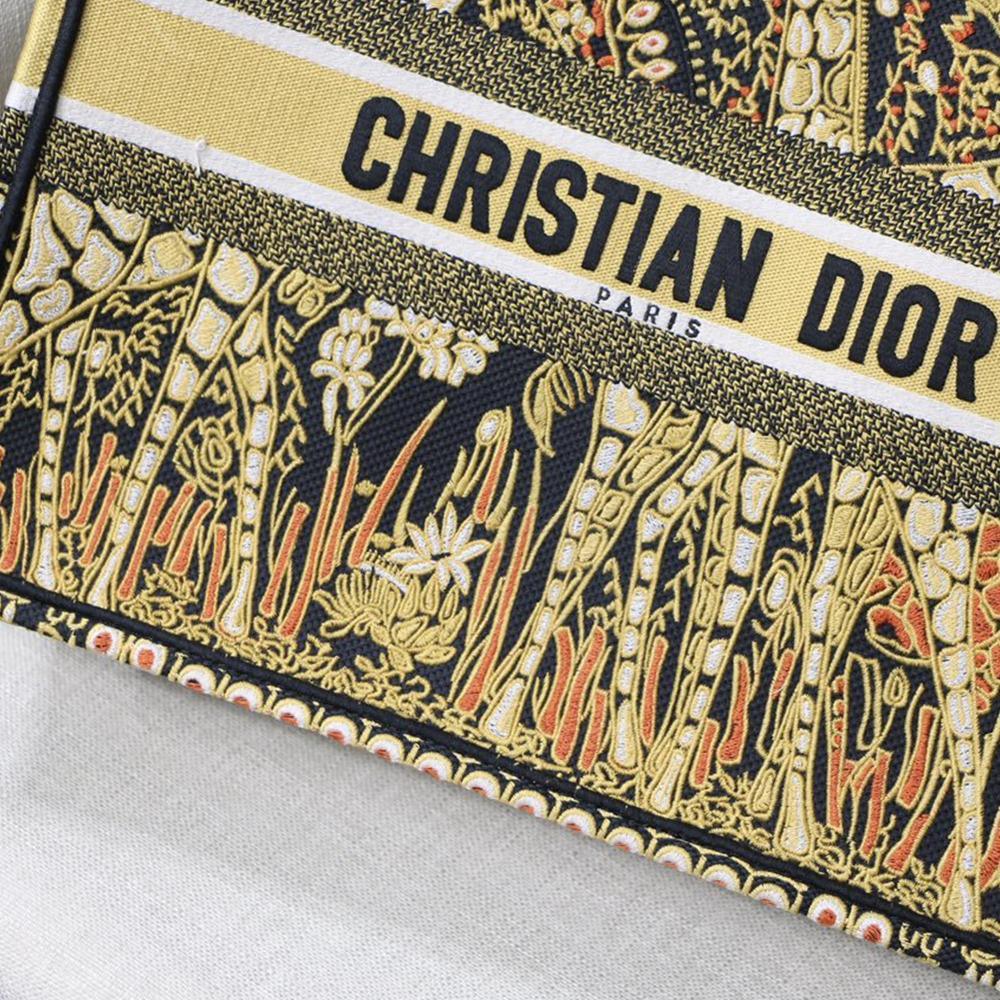 dior-book-tote-14 Tote
