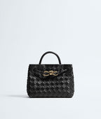 bottega-veneta-mini-andiamo Handle