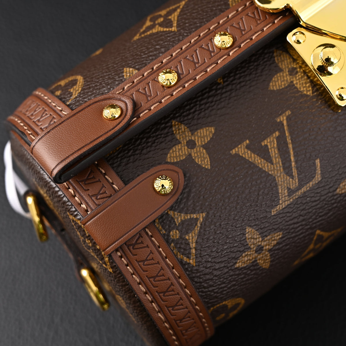 louis-vuitton-cannes-monogram-canvas-bag Crossbody