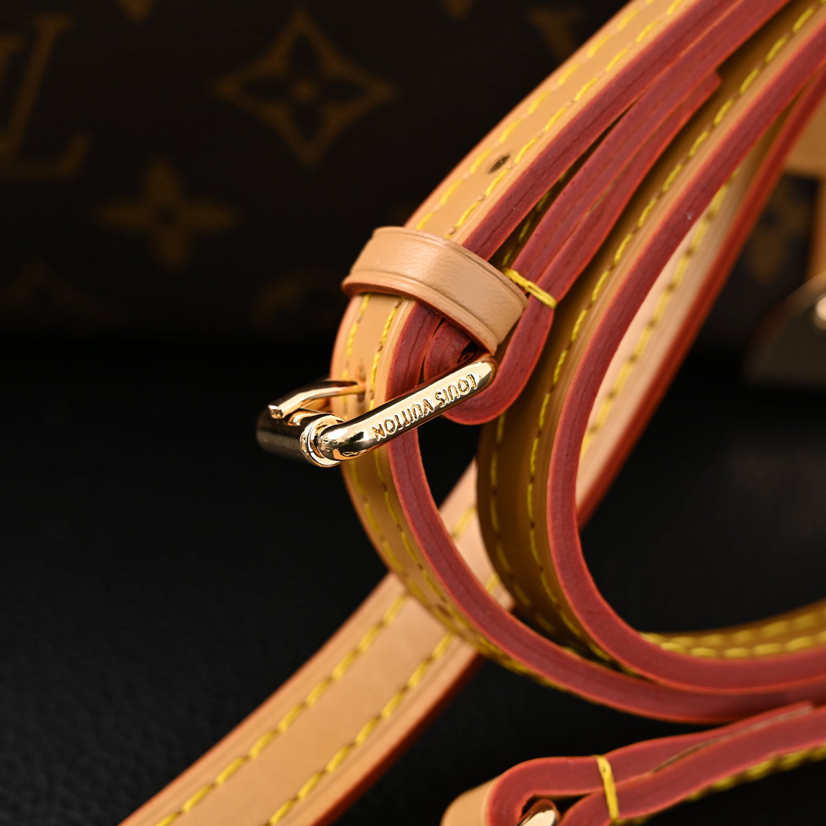 louis-vuitton-cannes-trunk-bag-monogram-canvas-with-gold-tone-hardware Crossbody