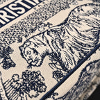 dior-book-tote-bag-blue-toile-de-jouy-embroidery Tote