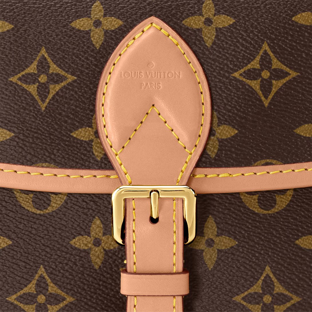 lv-diane-satchel Shoulder