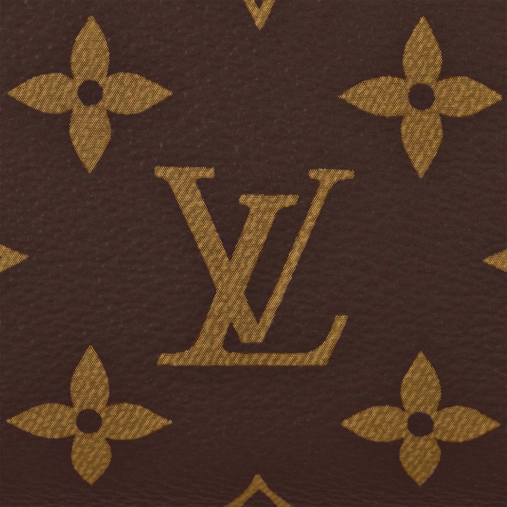 lv-speedy-20-bag Handle