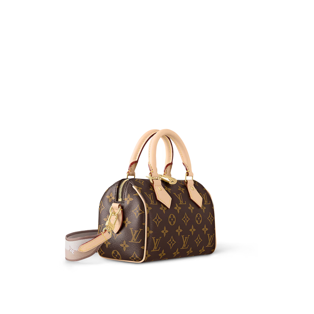 lv-speedy-20-bag Handle