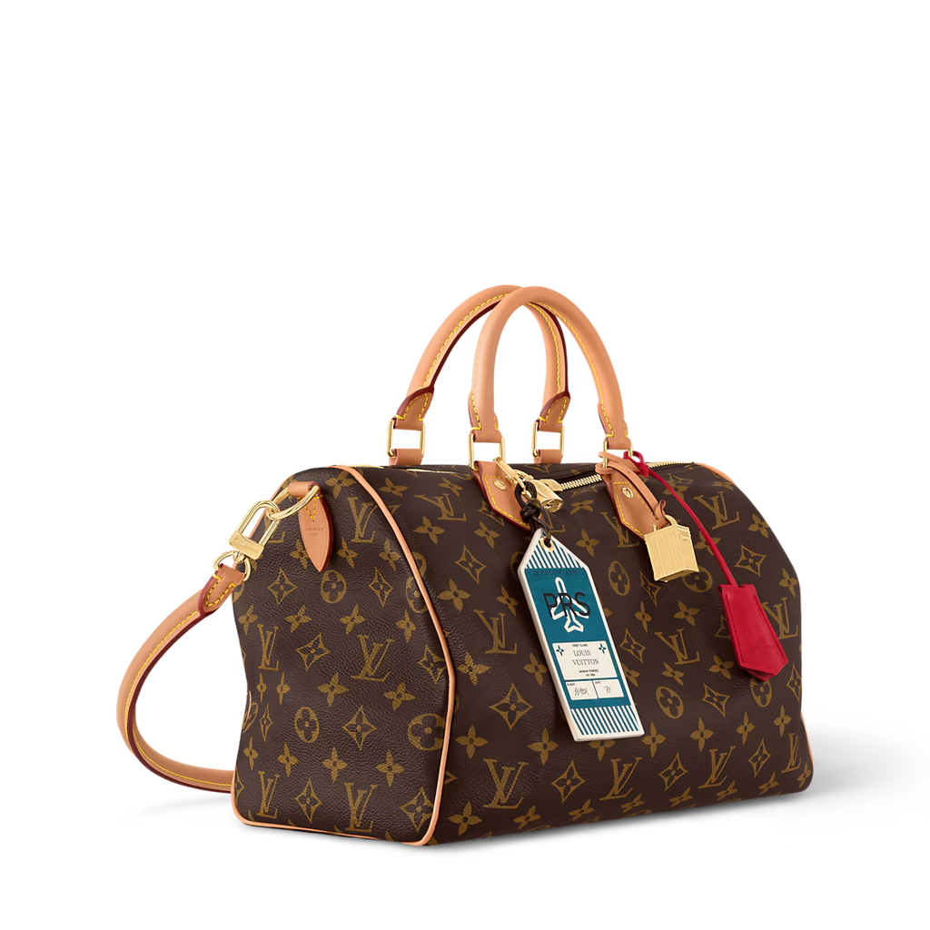 lv-speedy-soft-30-crafty-bag Handle