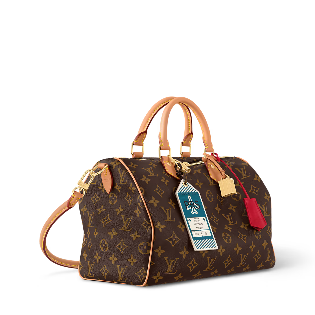 lv-speedy-soft-30-crafty-bag Handle